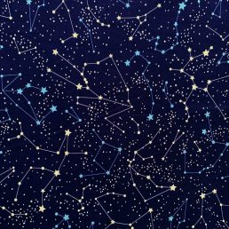 Constellation Navy Cotton Fabric