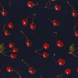 Cherries on Navy Cotton Canvas