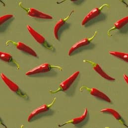 Chillies on Olive Cotton Canvas