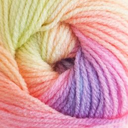 Wendy Giggles DK 100g