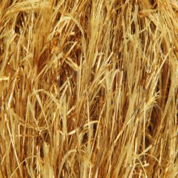 King Cole Tinsel Chunky 50g - 208 Gold