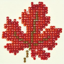 diamond-dotz-diamond-painting-kit-autumn-dream-diamond-painting-kit-autumn-dream-4897073242064.jpg