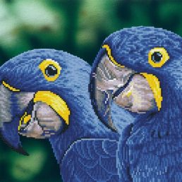 diamond-dotz-diamond-painting-kit-blue-hyacinth-macaws-diamond-painting-kit-blue-hyacinth-macaws-4897073249421.jpg