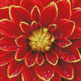 diamond-dotz-diamond-painting-kit-dahlia-diamond-painting-kit-dahlia-4897073244983.jpg