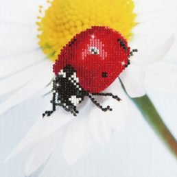 diamond-dotz-diamond-painting-kit-daisy-lady-diamond-painting-kit-daisy-lady-4897073240558.jpg