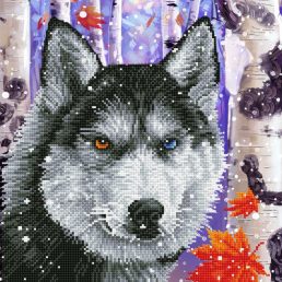 diamond-dotz-diamond-painting-kit-forest-wolf-diamond-painting-kit-forest-wolf-4895225912506.jpg