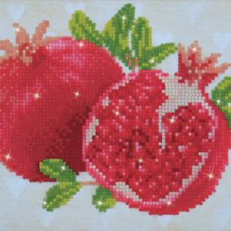 diamond-dotz-diamond-painting-kit-good-fortune-pomegranates-diamond-painting-kit-good-fortune-pomegr-4897073243504.jpg