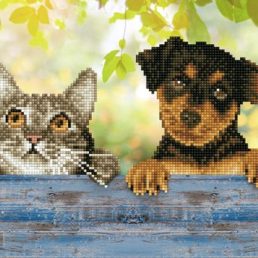 diamond-dotz-diamond-painting-kit-hang-in-there-diamond-painting-kit-hang-in-there-4897073248684.jpg