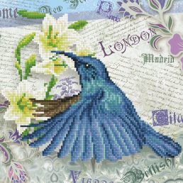 diamond-dotz-diamond-painting-kit-hummingbird-travels-diamond-painting-kit-hummingbird-travels-4895225912339.jpg