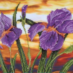 diamond-dotz-diamond-painting-kit-iris-sunset-diamond-painting-kit-iris-sunset-4897073243665.jpg