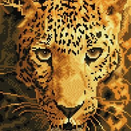 diamond-dotz-diamond-painting-kit-jaguar-prowl-diamond-painting-kit-jaguar-prowl-4897073245027.jpg