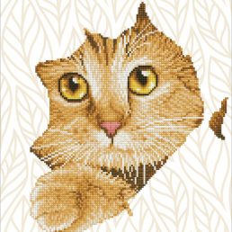 diamond-dotz-diamond-painting-kit-kitten-peek-diamond-painting-kit-kitten-peek-4895225915125.jpg
