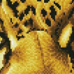 diamond-dotz-diamond-painting-kit-leopard-spy-diamond-painting-kit-leopard-spy-4897073249384.jpg