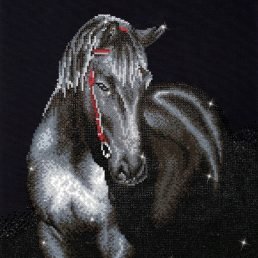 diamond-dotz-diamond-painting-kit-midnight-stallion-diamond-painting-kit-midnight-stallion-4897073242408.jpg