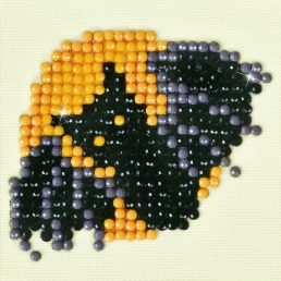 diamond-dotz-diamond-painting-kit-night-glider-diamond-painting-kit-night-glider-4897073242071.jpg