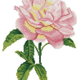 diamond-dotz-diamond-painting-kit-pink-rose-diamond-painting-kit-pink-rose-4895225914968.jpg
