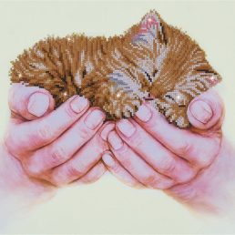 diamond-dotz-diamond-painting-kit-precious-kitten-diamond-painting-kit-precious-kitten-4897073243603.jpg