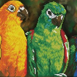 diamond-dotz-diamond-painting-kit-rainbow-parrots-diamond-painting-kit-rainbow-parrots-4897073244310.jpg