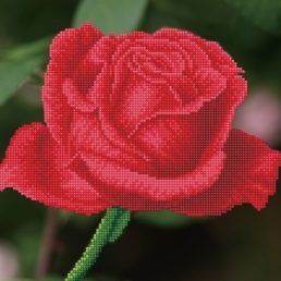 diamond-dotz-diamond-painting-kit-rose-bud-diamond-painting-kit-rose-bud-4897073244990.jpg