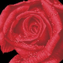 diamond-dotz-diamond-painting-kit-rose-dew-diamond-painting-kit-rose-dew-4897073245003.jpg