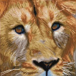 diamond-dotz-diamond-painting-kit-serengeti-magic-diamond-painting-kit-serengeti-magic-4895225915033.jpg