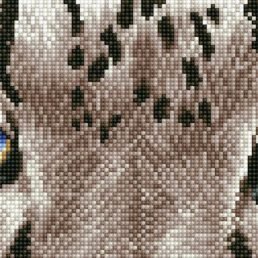 diamond-dotz-diamond-painting-kit-snow-leopard-spy-diamond-painting-kit-snow-leopard-spy-4895225915330.jpg