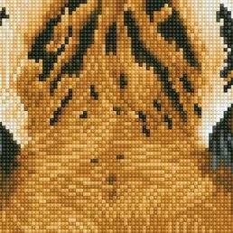 diamond-dotz-diamond-painting-kit-tiger-spy-diamond-painting-kit-tiger-spy-4897073246277.jpg