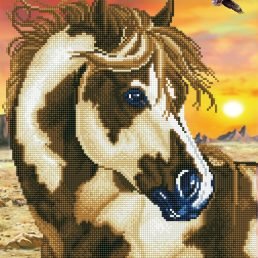 diamond-dotz-diamond-painting-kit-wild-and-free-diamond-painting-kit-wild-and-free-4897073246192.jpg