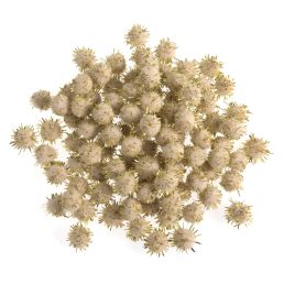 trimits-pom-poms-0-7cm-metallic-gold-pack-of-100-pom-poms-0-7cm-metallic-gold-pack-of-100-5022306718170.jpg